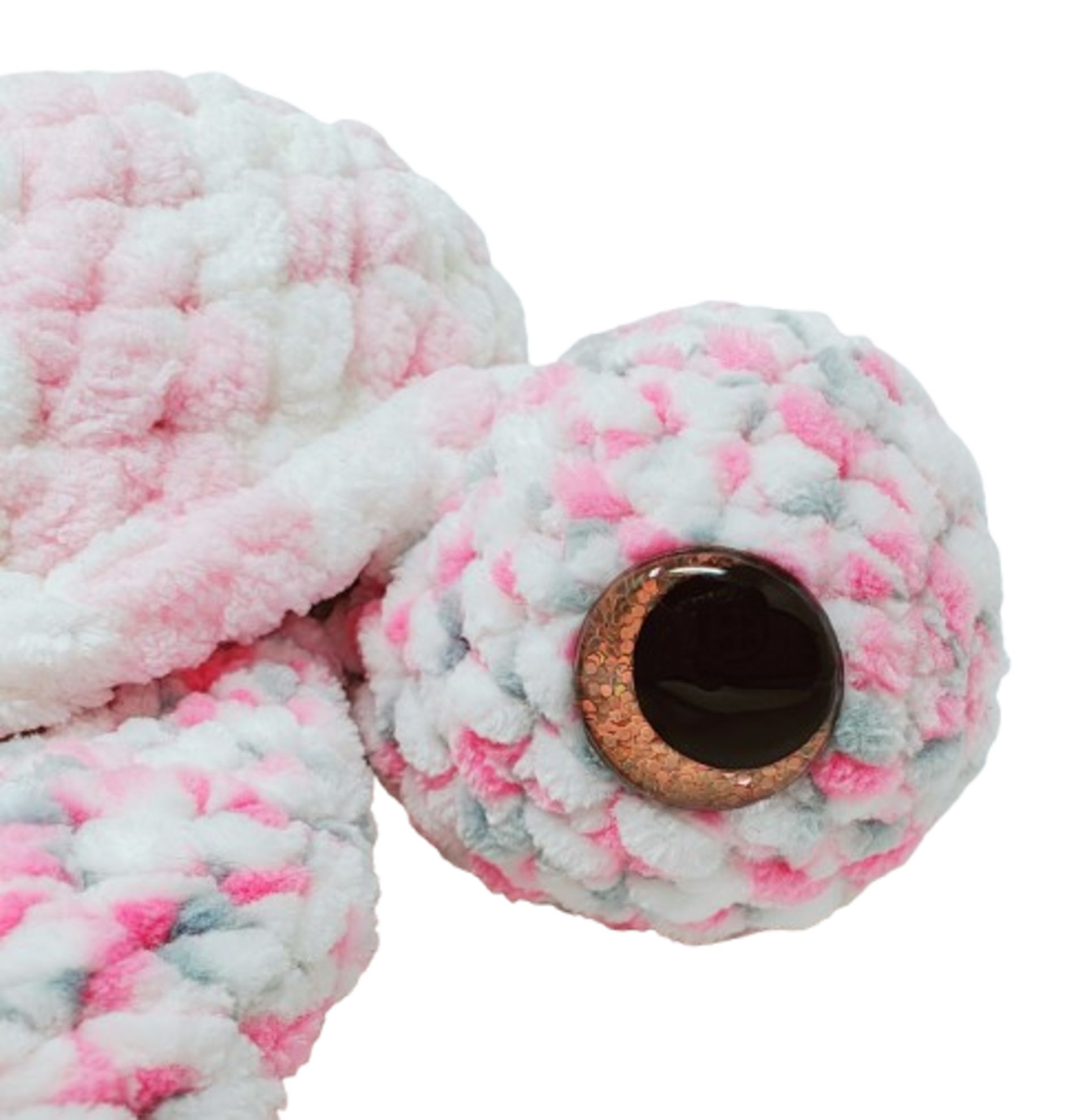 Tortuga tricolor - 2